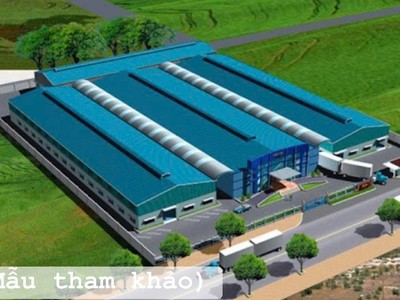 Bán 1 Ha Đất Skc Làm Xưởng Tại Long Tân, Tp Hồ Chí Minh 4
