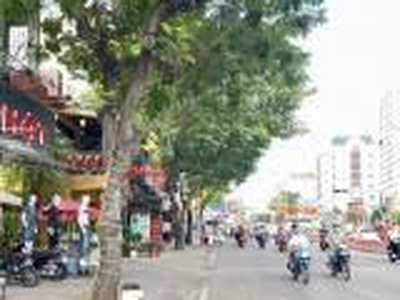 Siêu phảm tp HCM Q11 2