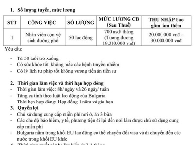 Quét dọn thu gom giác làm sạch vỉa hè 0
