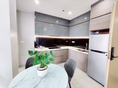 Cho thuê căn hộ 2 ngủ chung cư cao cấp Minato 0