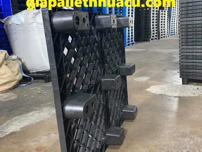 Pallet nhựa tại Bình Thạnh giá tốt nhất thị trường 2025 9