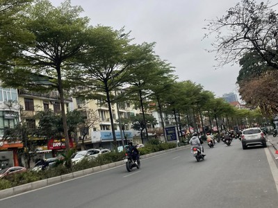 Bán nhà mặt phố đào tấn   7 tầng thang máy, vị trí hiếm, vỉa hè rộng, chỉ 35 tỷ 0