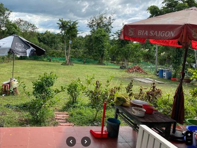 Đất vườn mt 1ha, có suối   xã ea nuôl đắk lắk 2