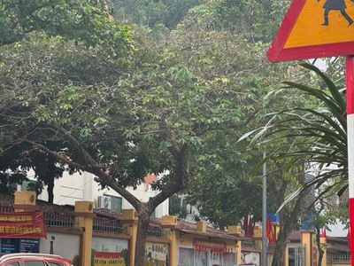Nguyễn văn linh,long biên 18tỷ 110m ô tô đỗ cửa,kinh doanh,vỉa hè rộng 2