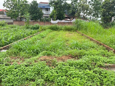 Đất đẹp thôn ấp tre, xã quang minh, mê linh. ba bước chân tới cổng trường y dược tuệ tĩnh 2