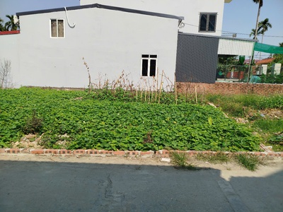 Bán lô đất 65m2 tại Đào Yêu, Hồng Thái, An Dương. Giá 1,3 tỷ. 7