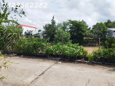 Bán đất thổ cư phạm hồng thái, sa đéc. 308m2, sổ hồng. giá 2 tỷ 3
