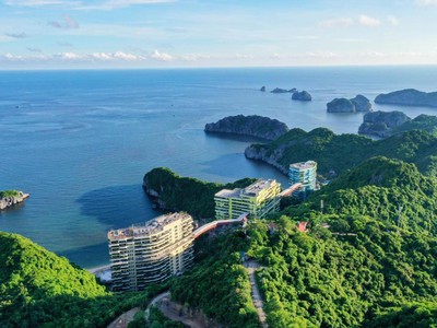 Bí mật dự án có lãi quanh năm tại flamingo cát bà 1