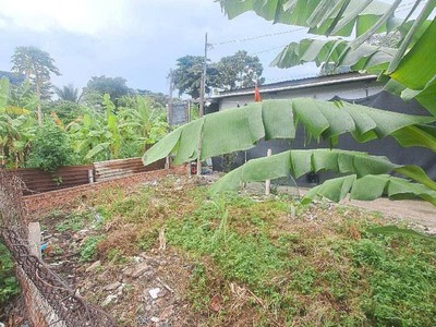 Đất 2 mh 137m2, tách thửa ok   an phú đông 9 q12 0