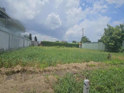 Đất nn view sông 954m2, vuông   an phú đông 3 q12 2