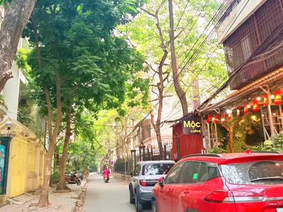 Mặt ngõ ô tô, vỉa hè, thông sàn kinh doanh phố võ văn dũng 52m  x 5t x mt 6m   18,6 tỷ 2