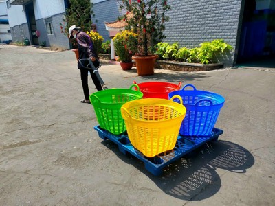 Những ưu điểm khi dùng Sọt nhựa đựng sầu riêng 3