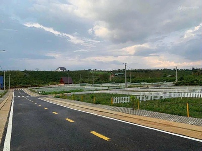 Bán đất nền tại xã đam bri, bảo lộc, lâm đồng, 2,8 tỷ, 223m2 chỉ với giá ưu đãi 0