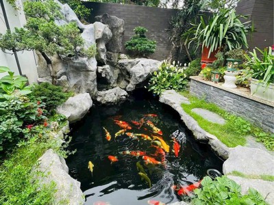 Bán gấp biệt thự tại vinhomes ocean park 2, giá thỏa thuận, 98m2 1