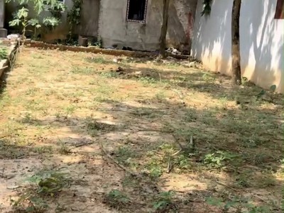 Chủ nhờ bán đất 92m2, mt6.5m, chỉ 1.6 tỷ, ô tô, sơn đoài, tân minh, sóc sơn. 0