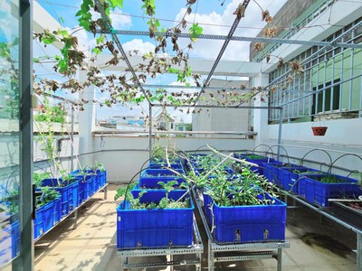 Bán nhà hxh nguyễn thái bình, phường 4, tân bình  4 13,5  hơn 9 tỷ 4