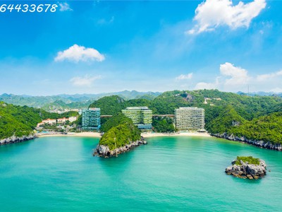 Sở hữu căn hộ  tọa sơn hướng hải  flamingo cát bà   đầu tư an nhàn, nhận lợi nhuận trước 0