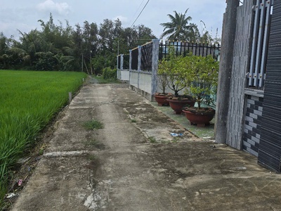 Nhà vườn xã Tân Trạch, Cần Đước tổng dt 330m2 1 lầu 3pn 3wc , sân thượng giá 3,9 tỷ 3