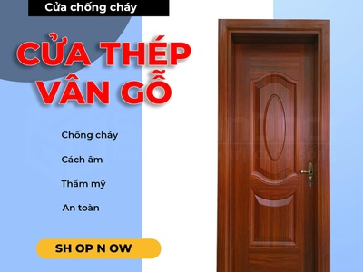 Cửa thép vân gỗ Saigondoor 1