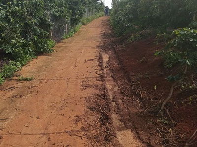 Đất đẹp - giá tốt - vị trí đắc địa tại đan phượng, lâm hà, lâm đồng 3