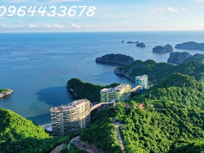 Khám phá viên ngọc lục bảo giữa lòng di sản   flamingo cát bà, vốn ban đầu chỉ từ 600 triệu 1