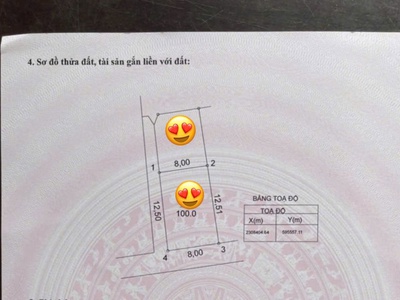 Bán siêu phẩm 100m2 lô góc 2 mặt tiền xóm 1 tự nhiên thường tín giá chỉ hơn 30tr/m2 0