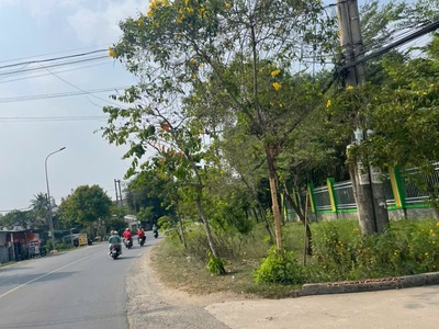 Bán đất mt sông sài gòn   nhị bình, hóc môn - giá chỉ 10 triệu/m     view sông 1