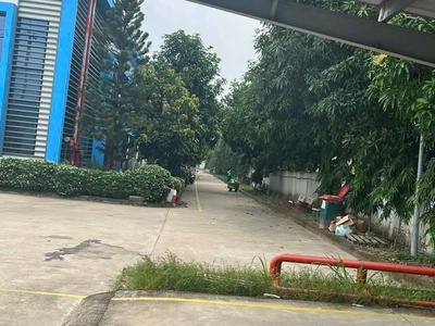 Nhà xưởng trong kcn tân phú trung, củ chi dt 18.485m    thuê sẵn 4.6/m    chỉ 160 tỷ 2