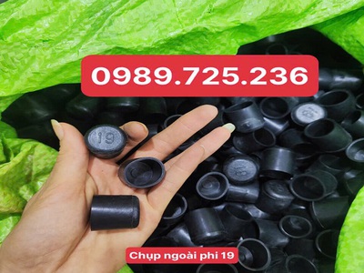 Nắp chụp ngoài phi 19 và những công dụng 1