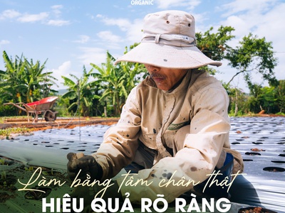 G.organic   thực phẩm hạnh phúc được gieo trồng từ tình yêu   sự thật 10