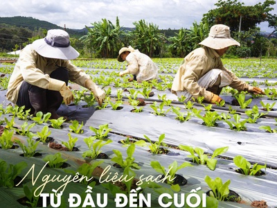 G.organic   thực phẩm hạnh phúc được gieo trồng từ tình yêu   sự thật 11