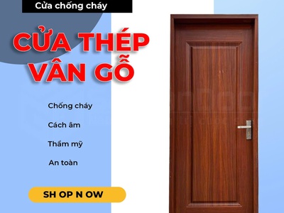 Cửa thép vân gỗ 1