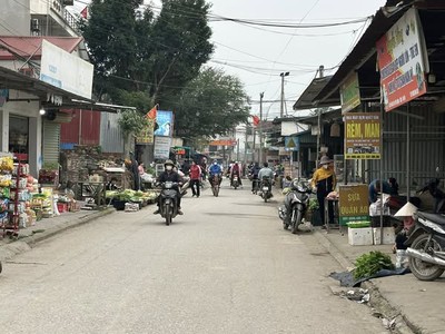 100m kinh doanh mặt trục xã phú nghĩa-hà nội 2