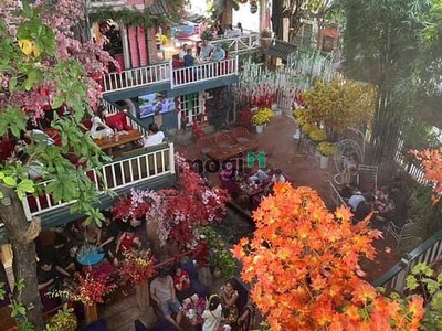 Bán quán cafe  phố xưa  ngang 24m 3 lầu sân vườn 624m2 mtkd nguyễn ảnh thủ chỉ 49 tỷ 2