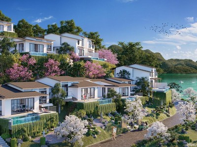 Hòa bình: lá chắn kiên cố cho tương lai   nơi an toàn gặp gỡ đầu tư vĩnh cửu 3