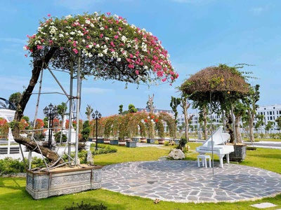 Chung cư dankoriverside - không gian sống đẳng cấp châu âu 4