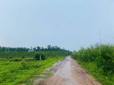 Bán 2557m2 đất tân hà, hàm tân giá ngộp chỉ 36tr/m ngang 2 mặt đường 1