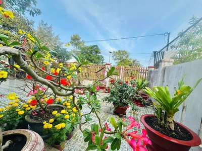 Bán nhà vườn492m2  gần biển bình tân , lagi giá rẻ nhất chỉ 7.5tr/m2 4