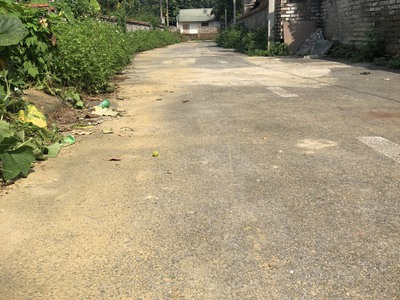 Chính chủ cần bán lô đất vườn đẹp tại quốc oai 0