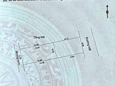 Bán đất tặng kèm nhà cấp 4 gần đường Hoàng Văn Thái, TP. Đà Nẵng 0