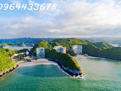 Đầu tư căn hộ nghỉ dưỡng flamingo cát bà   nhận sổ hồng trao tay, khai thác 4 mùa, lợi nhuận đều 3