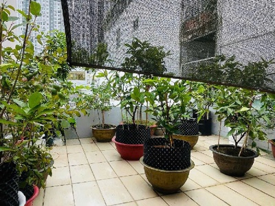 Khu phân lô vip q10   lý thường kiệt   94m    5 tầng   14 phòng   22.68 tỷ 2