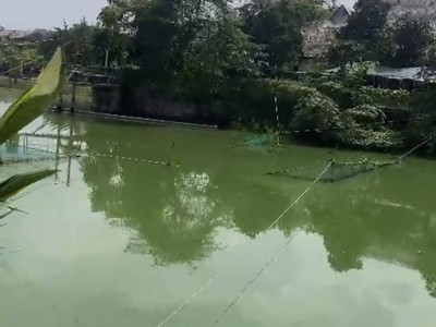 Bán đất bắc sơn trảng bom kinh doanh ăn uống hồ câu cá gần giáo xứ bùi đệ 2