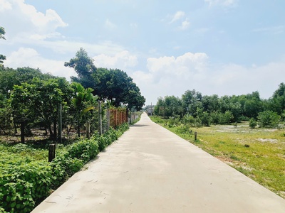 Bán 20m x 44m đất thổ cư hẻm trần quang diệu, lagi giá rẻ gàn de lagi 2