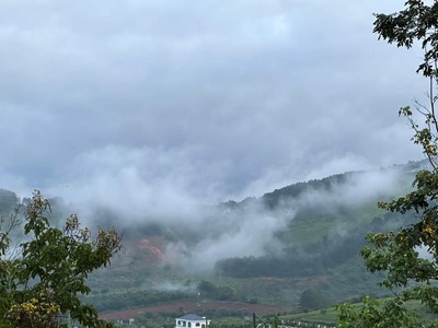 Bán đất Tt.Nam Ban, Lâm Hà, Lâm Đồng 6650m2 2