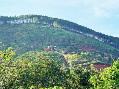 Bán đất Tt.Nam Ban, Lâm Hà, Lâm Đồng 6650m2 3