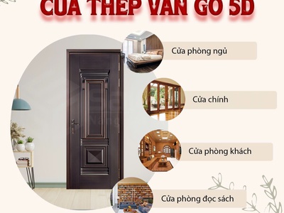 Cửa thép vân gỗ 1