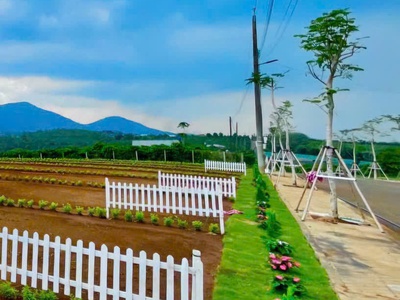Đất đẹp Di Linh, pháp lý rõ ràng   Gần Quốc lộ 20   Chỉ từ 699 triệu/nền 0