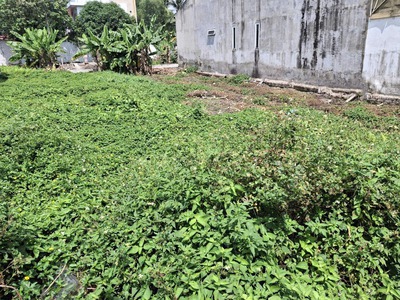 Đất hxt 245m2, đ. thông   vườn lài q12 2