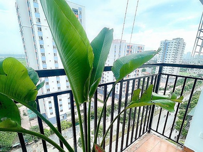 Căn hộ trung tâm khu đô thị Đền Lừ, 54m2, 2 ngủ, tặng đầy đủ nội thất, gần chợ đầu mối 3